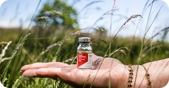 Rectangle 292 Rectangle 292